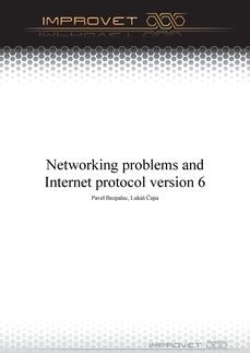 Networking problems and Internet protocol version 6