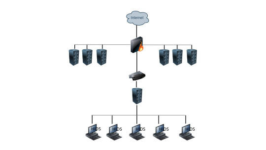 Fig. 2. Ejemplo de HIDS 
