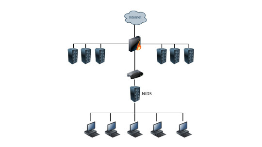 Fig. 3. Ejemplo de NIDS 