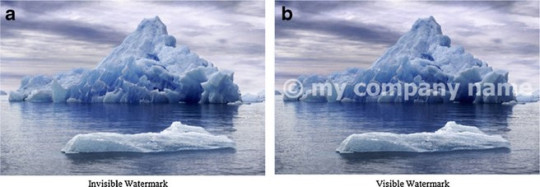 Fig. 3: Difference between Invisible watermark (a) and Visible watermark (b)