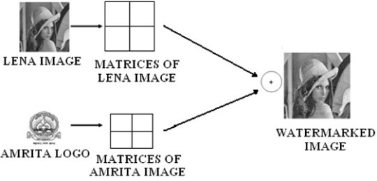 Fig. 4: Example of Spatial Domain Watermarking with two images
