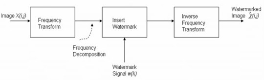 Fig. 5: General principle of Frequency domain watermarking