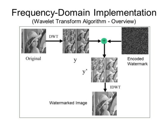 Fig. 6: Example of Frequency domain watermarking